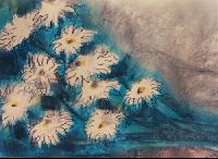 Marguerite bouquet Marguerite bouquet